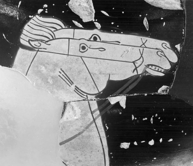 Berlin Painter - Amphora With Chariot And Driver - Walters 482235 - Side A Detail 