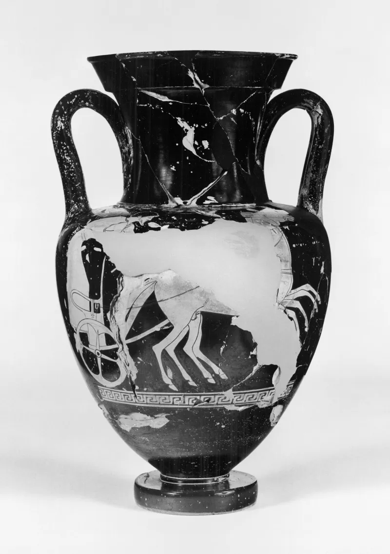 Berlin Painter - Amphora With Chariot And Driver - Walters 482235 - Side 