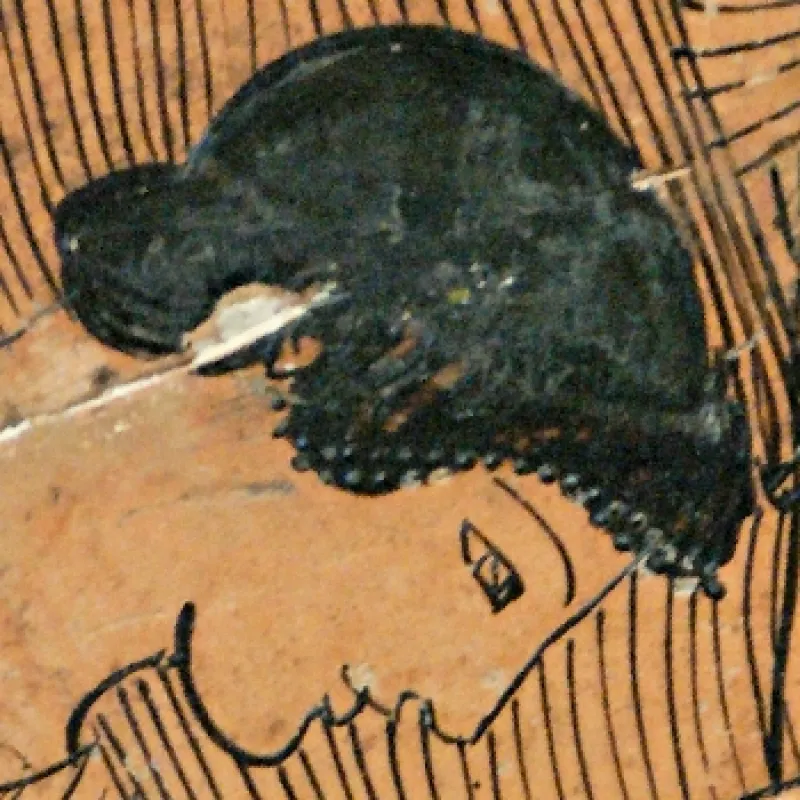 Detail Douris Cdm Paris 539 