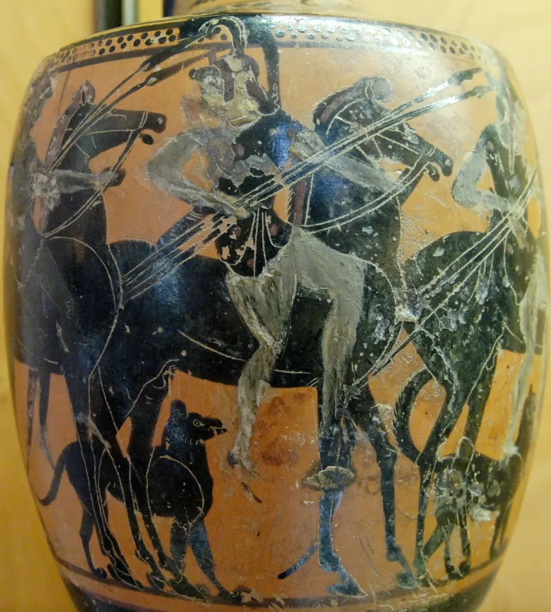 Amazons Mar Palermo 