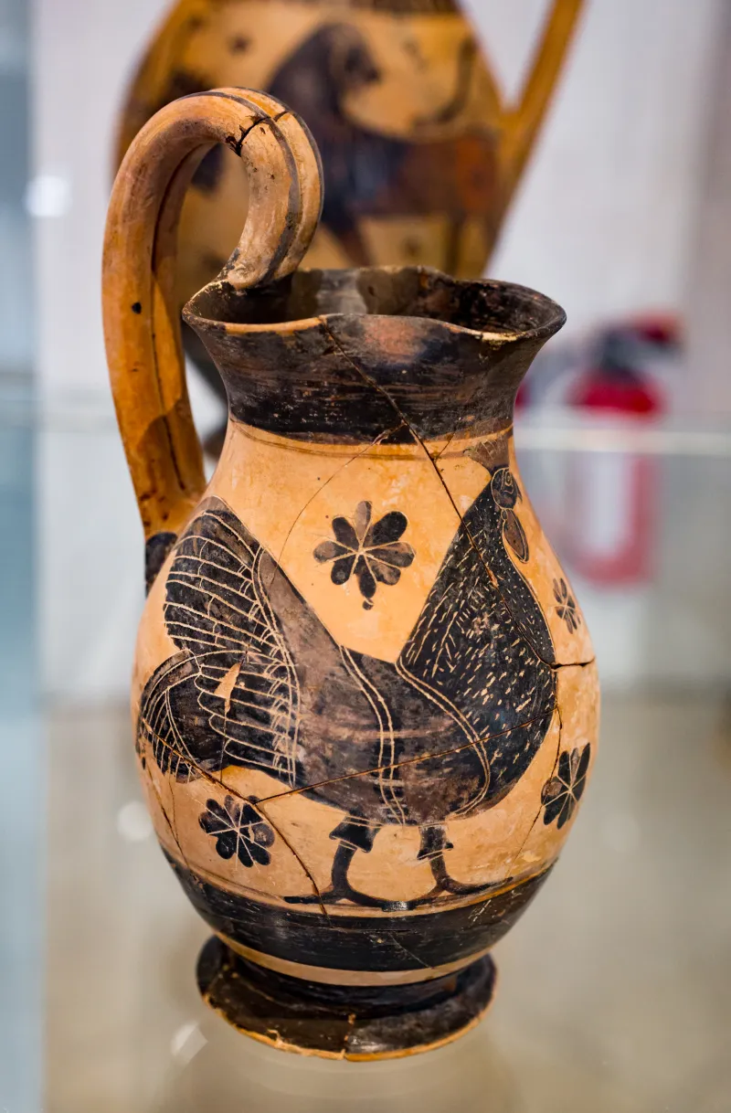 Class Of The Early Olpai - Abv 15 23 - Cock - Tübingen Mut S-10 