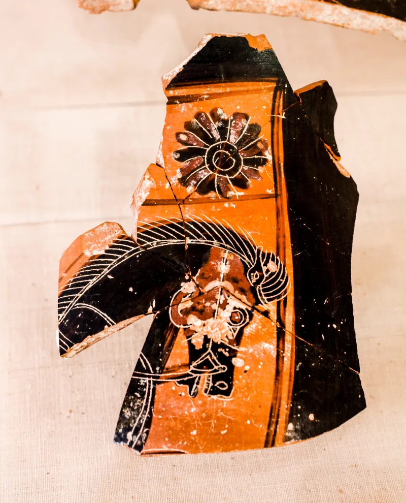 Manner Of The Gorgo Painter - Abv 11 15 - Head Of Horse - Aigina Am 