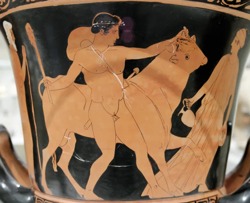 Theseus Bull Marathon Met 