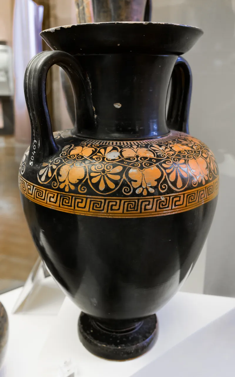 Group Of The Floral Nolans - Arv 218 8 - Floral - Roma Mnevg 50403 - 