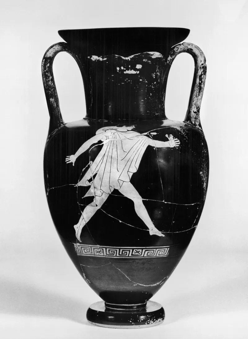 Hermonax - Nolan Amphora - Walters 4855 - Side 