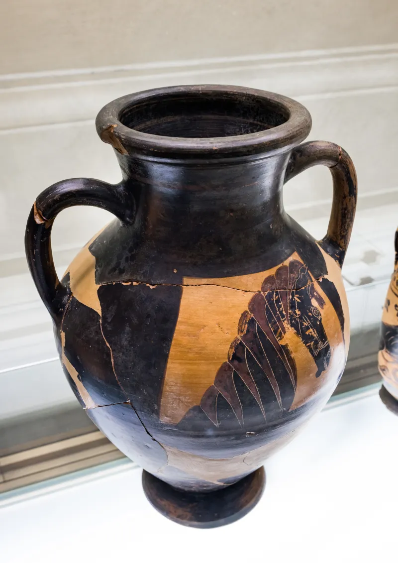 Horse-Head Amphora - Abv 17 36 - Horse-Head - Firenze Man - 