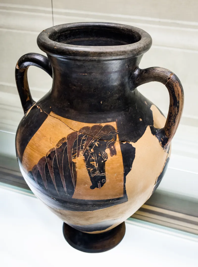 Horse-Head Amphora - Abv 17 36 - Horse-Head - Firenze Man - 