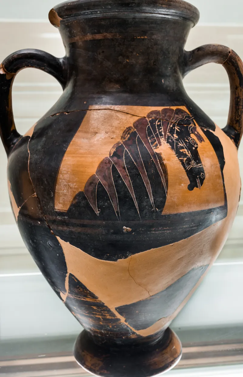 Horse-Head Amphora - Abv 17 36 - Horse-Head - Firenze 