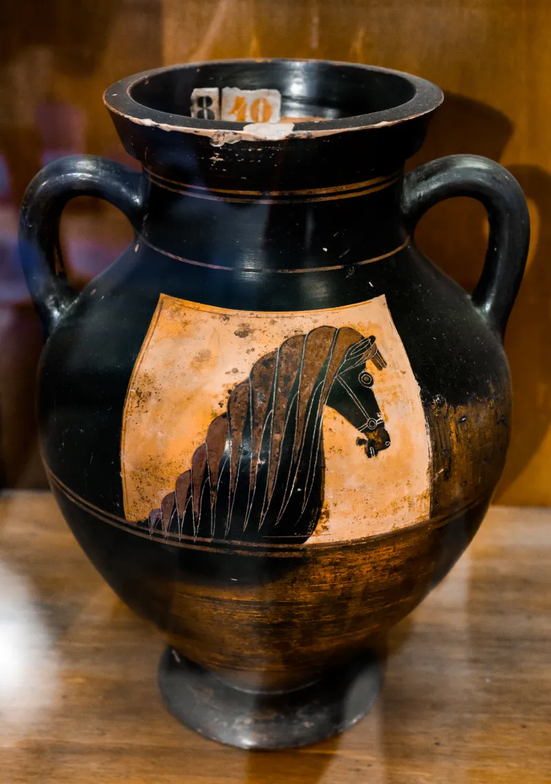 Horse-Head Amphora Group E - Abv 17 37 - Head Of Horse - Roma Mcpcpn 