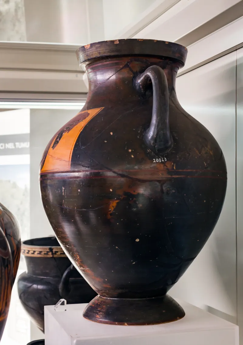 Horse-Head Amphora Group U - Abv 17 31 - Head Of Horse - Roma Mnevg 20843 - 