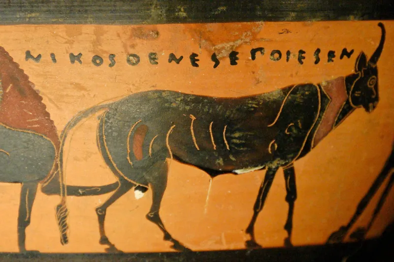 Signature Nikosthenes 