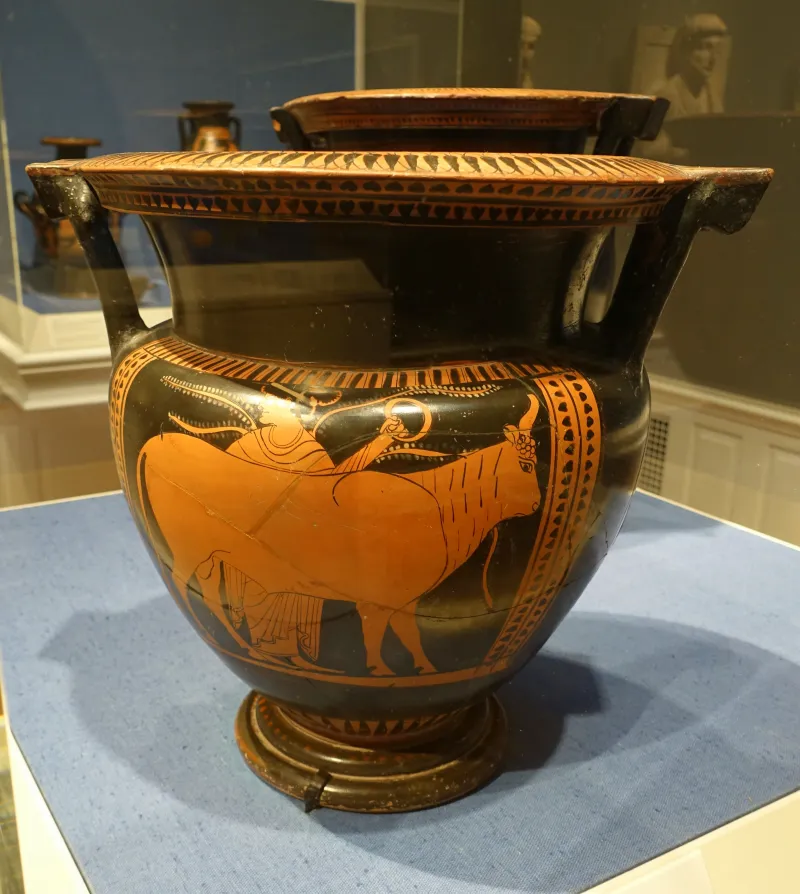 Bull Sacrifice, Column Krater, By A Pupil Of The Nikoxenos Painter, 500 Bc, Painted Terracotta - Portland Art Museum - Portland, Oregon - 