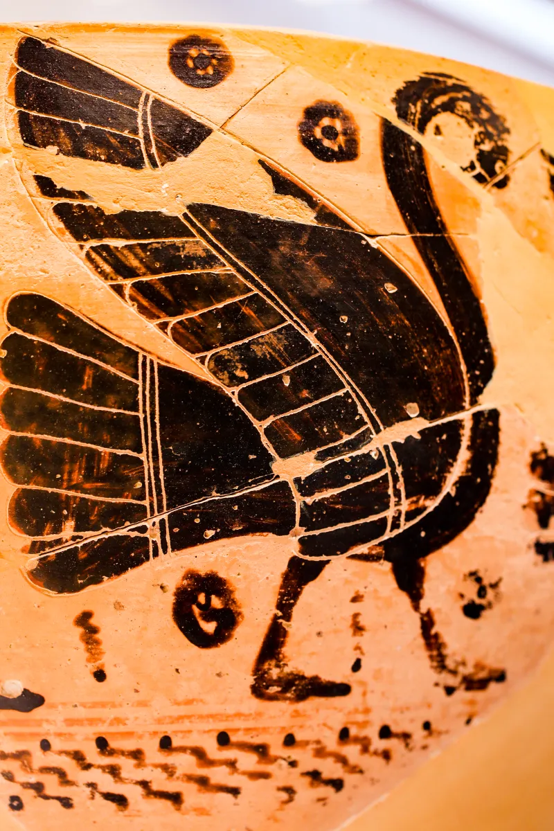 Comparable With The Painter Of Berlin A 34 - Abv 1 Bottom - Four Swans - Spiral Hooks - Athens Nm 993 - 