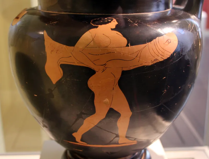 Pittore Di Pan, Cratere A Colonna Con Culto Di Fallo, Attica 470 Ac Da Etruria 
