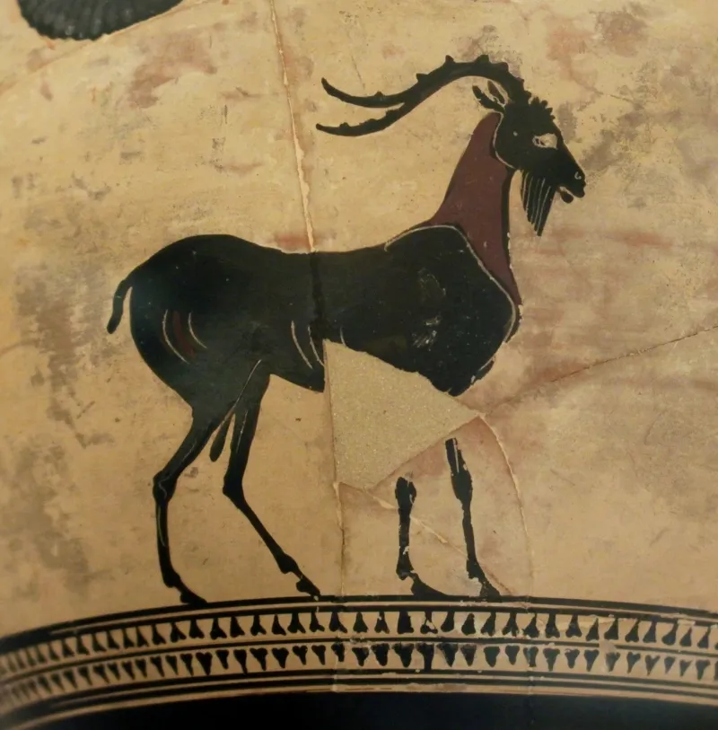 Hydrie Athènes Attr Psiax Bouc Petit Palais 13012018 