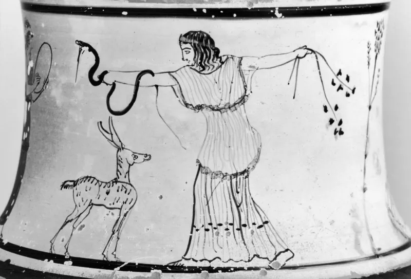 Sotheby Painter - White-Ground Pyxis With Maenads - Walters 482019 - Detail 