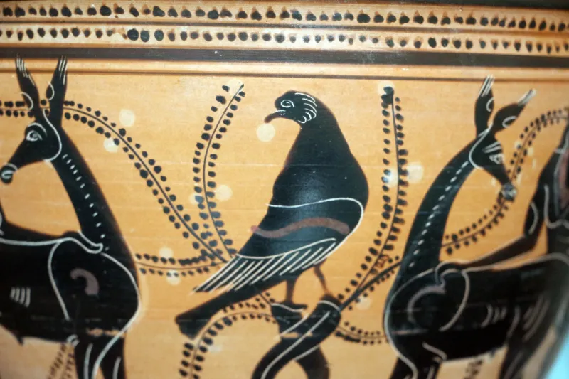 Pittore Di Teseo, Skyphos Attico, 510-490 Ac, Da Massafra (Ta), 03 
